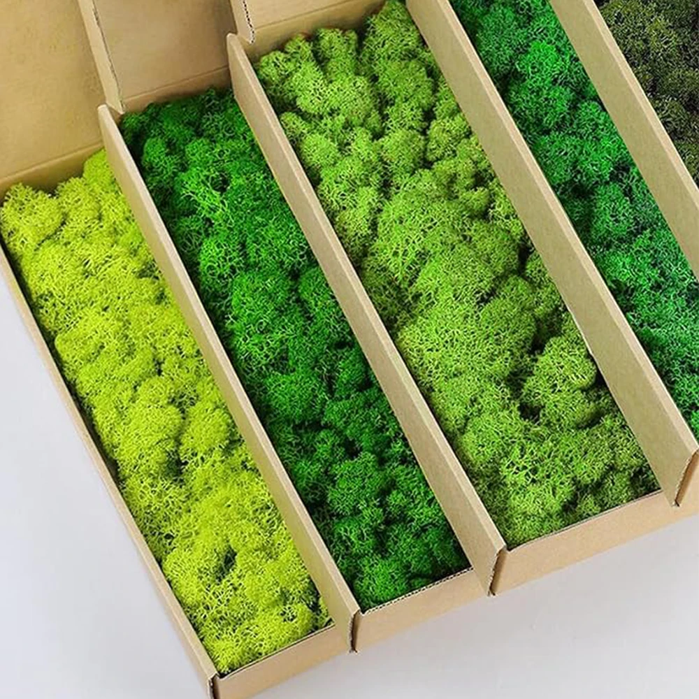 20-200g 인공 녹색 식물 가짜 잔디 영원한 생명  - Terrarium Moss Art 리뷰 및 가격