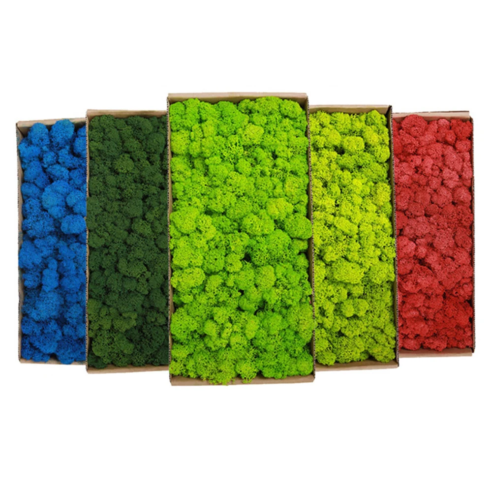 20-200g 인공 녹색 식물 가짜 잔디 영원한 생명  - Terrarium Moss Art 리뷰 및 가격