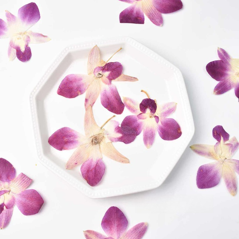 4개, 실제 압화 나비 난초 꽃 DIY 레진 아트, 스 - Resin Craft Ideas 리뷰 및 가격