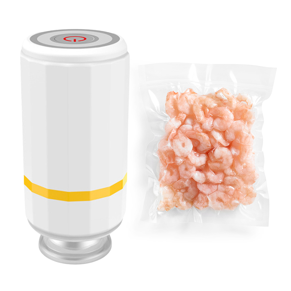 진공 식품 실러 충전식 휴대용 진공 실러 수비드 및 식 - Vacuum Chamber Small 리뷰 및 가격