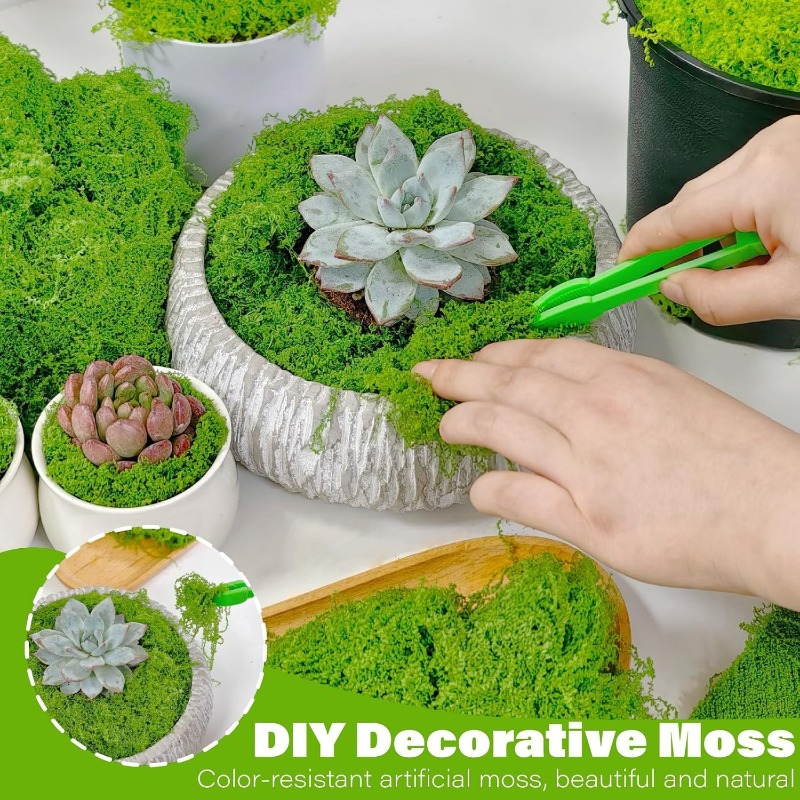 인공 녹색 식물 영구 생활 모스 DIY 공예 인조 보존 - Terrarium Moss Art 리뷰 및 가격